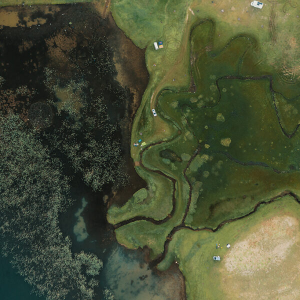 Aerial view of camping area on a colorful natural background with vegetation and water